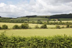 Guisborough - Mark Davis Photography